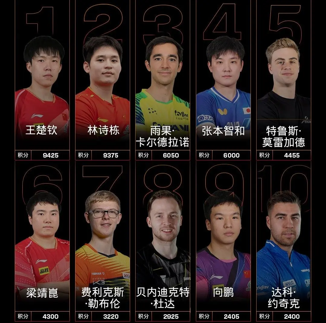 欧洲直板球, 欧洲直板球, 世界前十